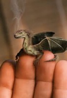 /album/dragones-y-elfos/dragon-real%c3%a7-jpg/